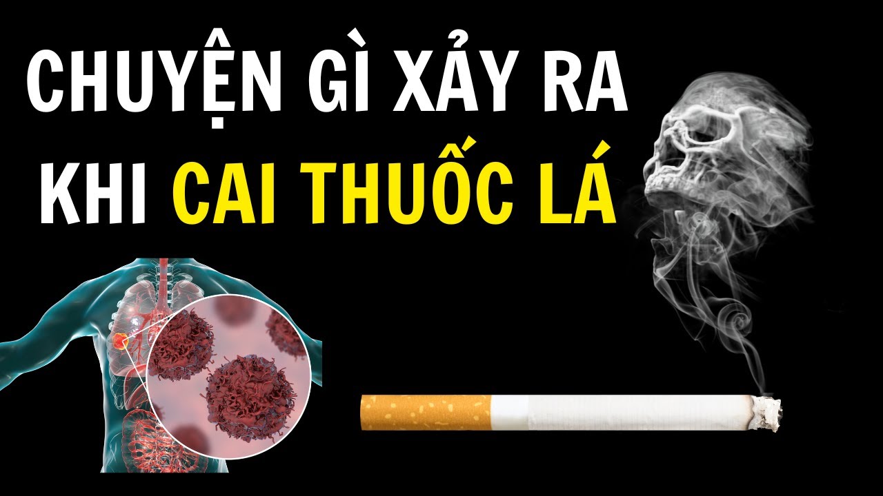 Hút thuốc lá ảnh hưởng đến hệ tim mạch như thế nào?