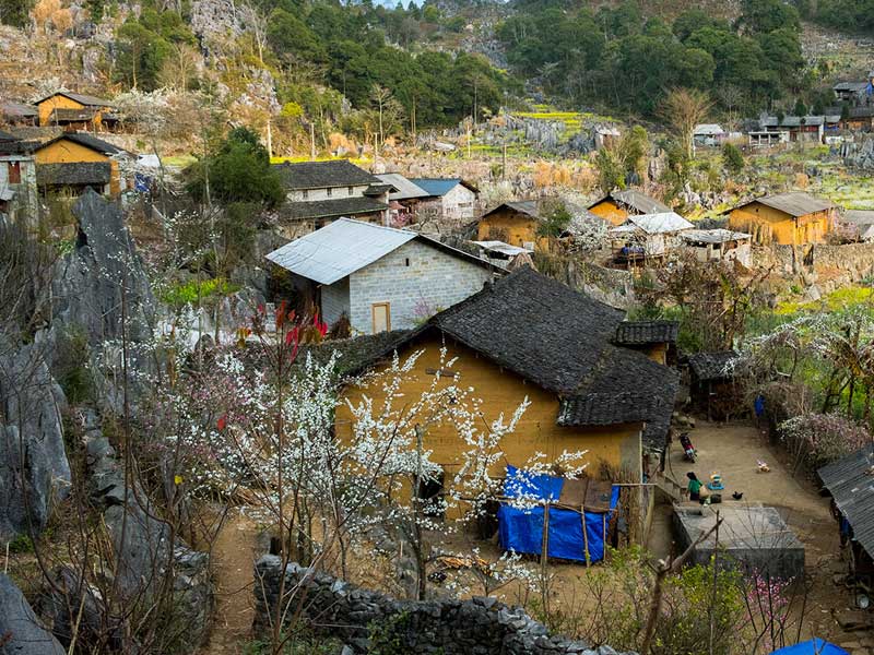 Thời điểm lý tưởng để du lịch Cao nguyên đá Đồng Văn