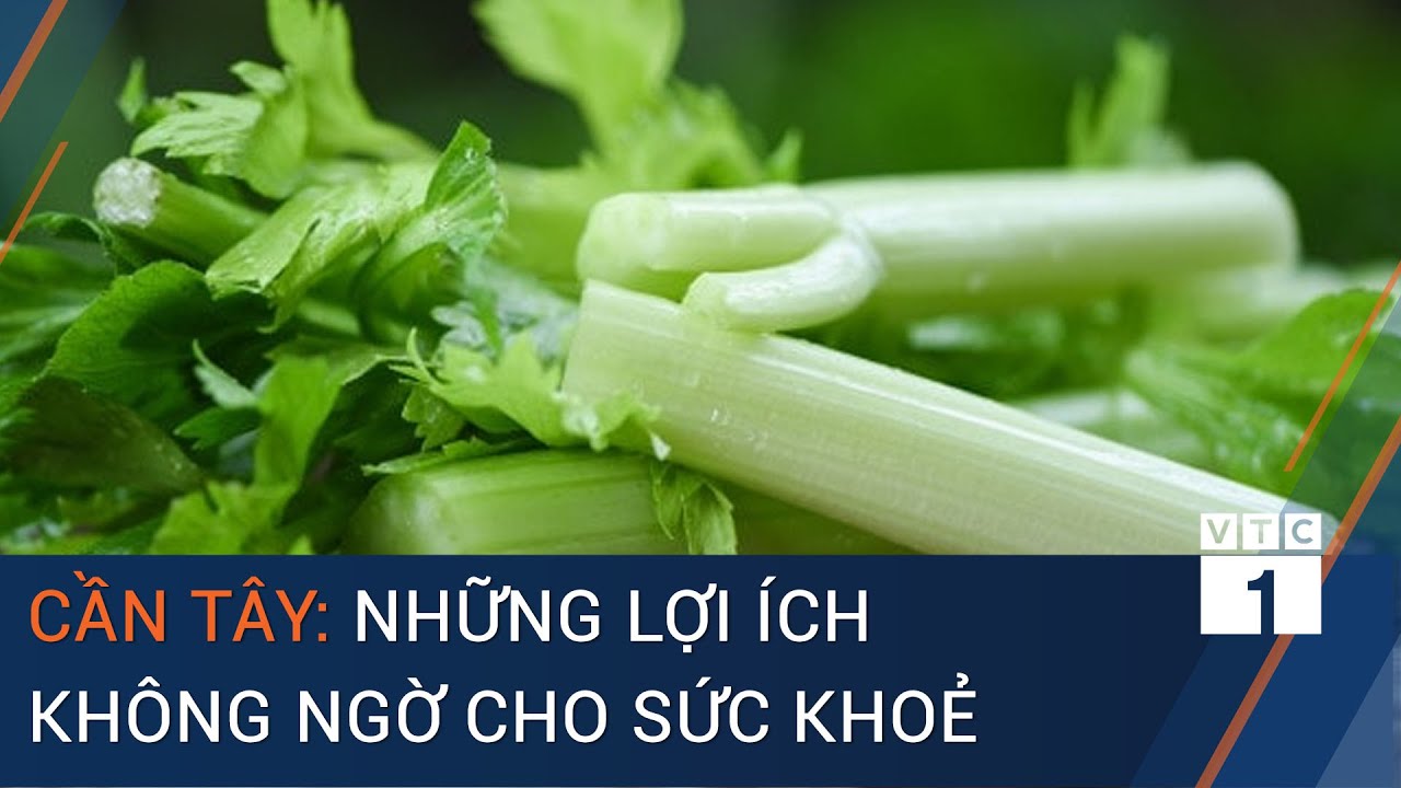 Ăn Cần Tây Có Tốt Không?