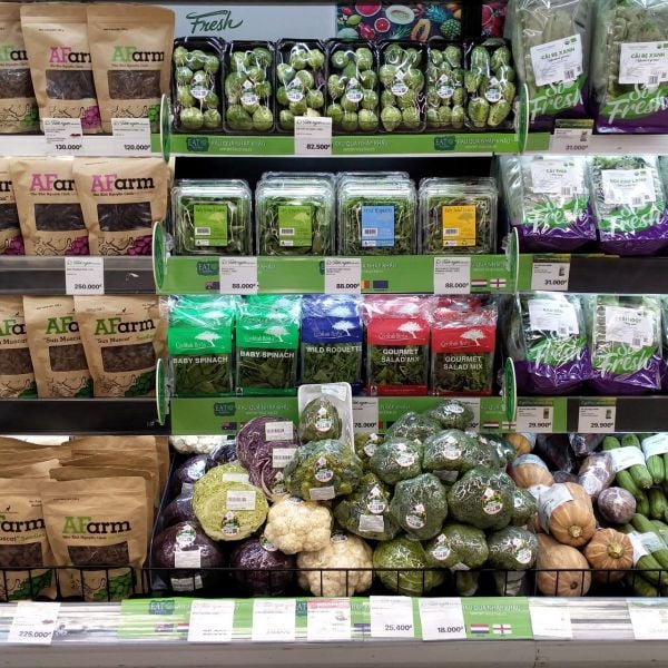 Cần Tây Là Gì? Thành Phần Dinh Dưỡng Của Cần Tây (Definition Question)