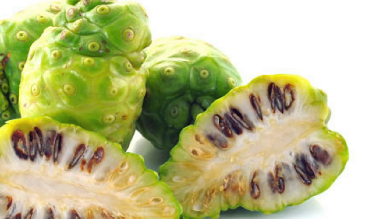 Quả Nhàu Là Gì?