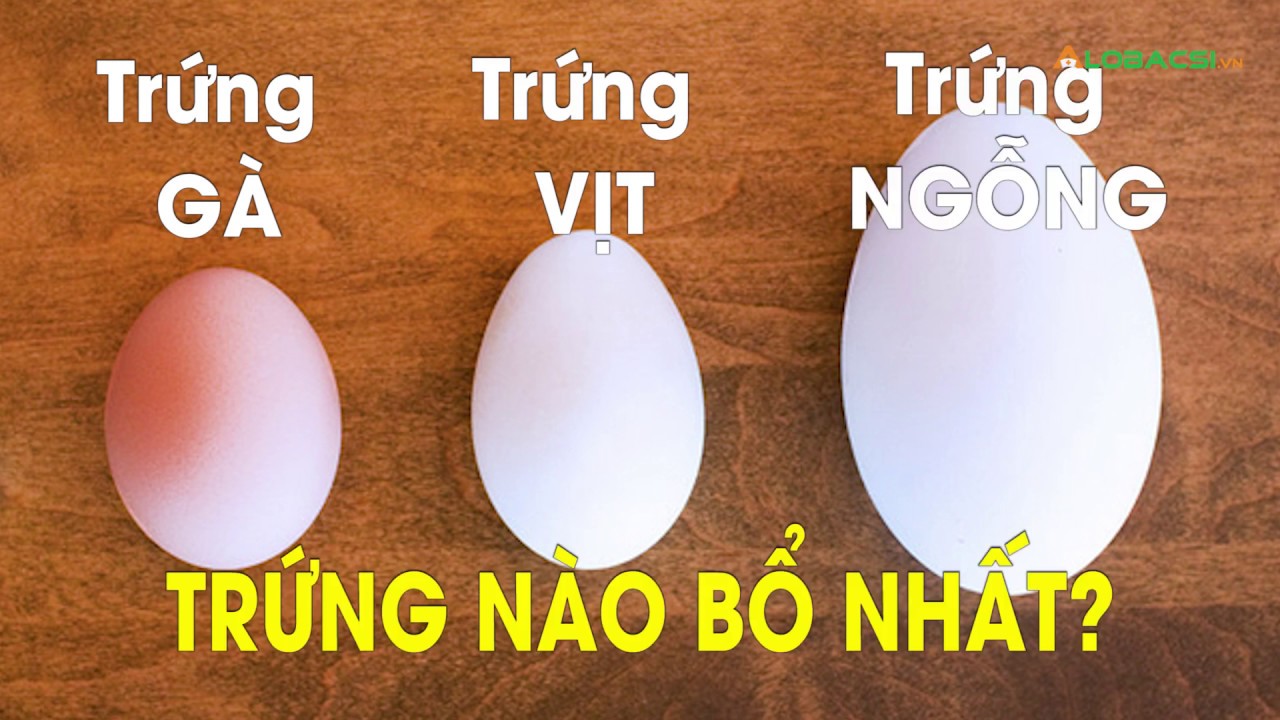 Trứng Là Gì Và Có Những Loại Trứng Nào?